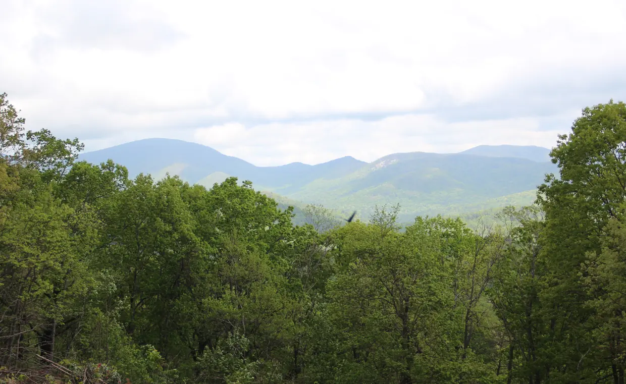 Forested ridges in the foreground fall away to layered blue-green mountains under a bright, partly cloudy sky.