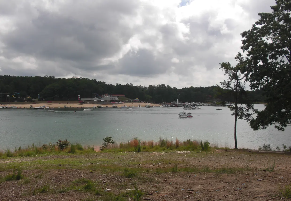 Under a heavy grey and white cloudy sky, a wide cove holds dozens of motorboats anchored off a long sandy beach backed by low buildings and a wooded ridge; a lone pine and a leafy tree stand at right, and a bare, gravelly bank with patchy grass fills the foreground.