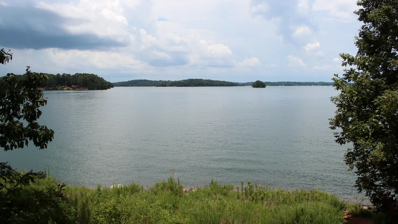 Framed by leafy trees at both sides and tall grasses in the foreground, a wide stretch of calm blue-grey water runs out to low wooded points and a small island along the horizon under a big sky of white and grey summer clouds.