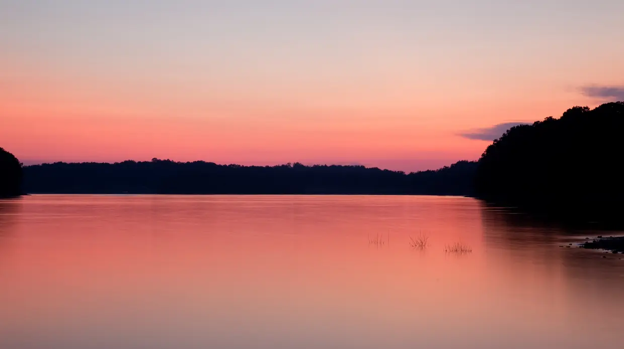 A smooth, mirror-like lake reflects a soft pink and peach afterglow; a dark, low wooded shoreline crosses the middle of the frame, a darker wooded point rises at right, and small clumps of grass stand in the water.