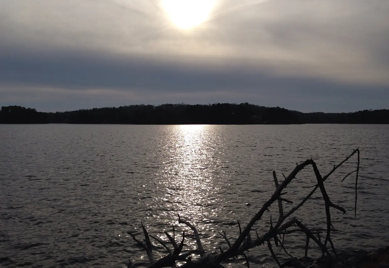 A hazy sun behind thin grey cloud lays a bright silver path across dark rippled water toward a long, low, wooded far shore; the silhouette of a fallen tree with bare, angular branches juts into the water at lower right.