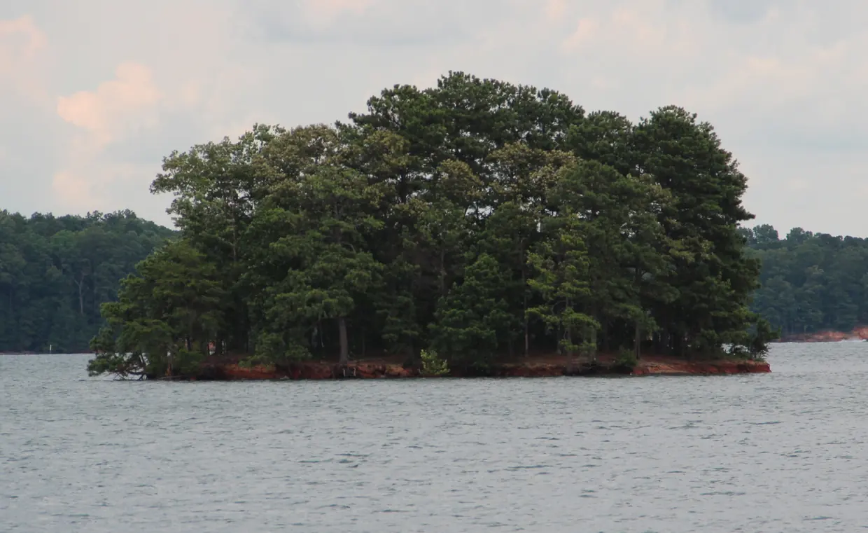 A small island crowded with tall pines and hardwoods sits low in choppy grey water, ringed by a thin band of exposed red clay at its base, with wooded shoreline behind it under a hazy, pale sky.