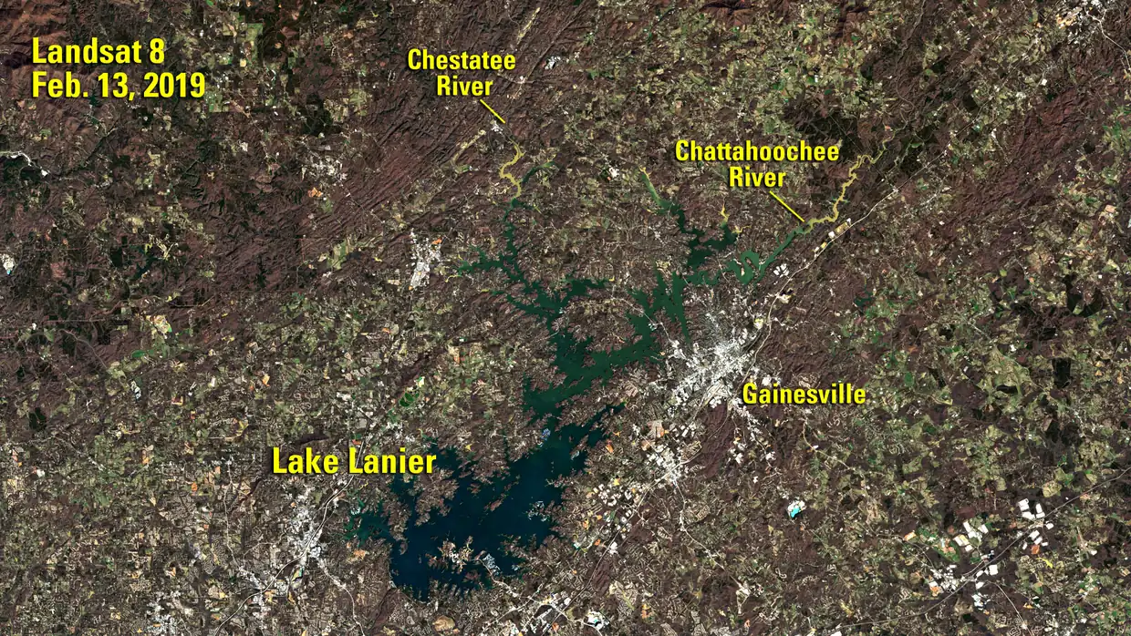 The same natural-colour satellite view in winter browns shows the lake as a broad, dark blue-green branching body with full, swollen arms reaching up toward the rivers; yellow labels read 'Landsat 8, Feb. 13, 2019', 'Lake Lanier', 'Chestatee River', 'Chattahoochee River' and 'Gainesville'.